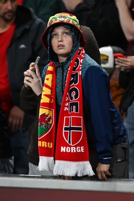 011026 - Wales v Norway - UEFA Nations League - Fans