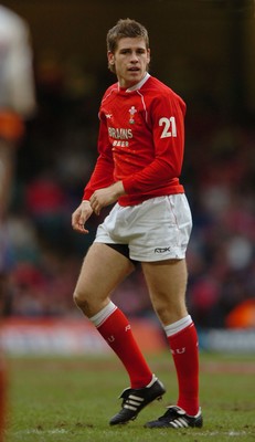 11.11.06  Wales v Pacific Islands Gavin Evans 