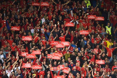 Wales v Republic of Ireland 091017