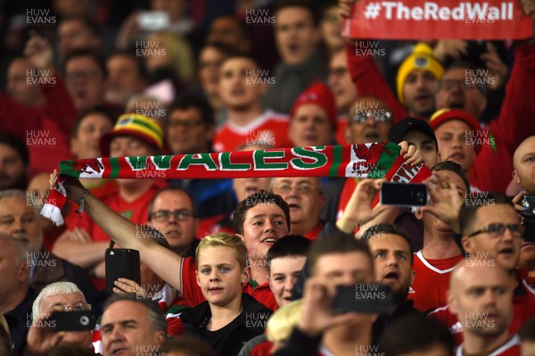 091017 - Wales v Republic of Ireland - FIFA World Cup Qualifier 2018 - Wales fans