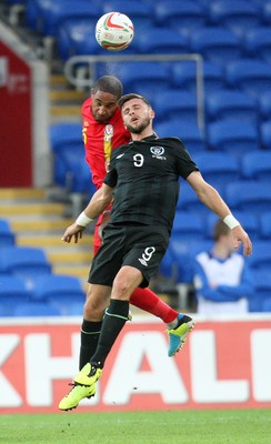 140813 - Wales v Republic of Ireland, Vauxhall International Friendly - Wales' Ashley Williams and Republic of Ireland's Shane Long compete for the ball