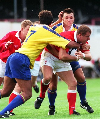 300897 - Wales v Romania - Leigh Davies of Wales