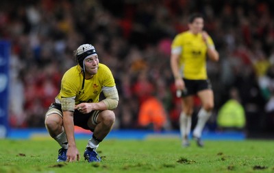 13.11.09 - Wales v Samoa - Invesco Perpetual Series 2009 - Wales' Ryan Jones. 