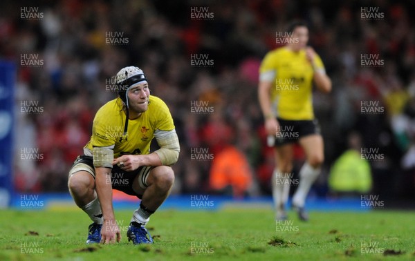 13.11.09 - Wales v Samoa - Invesco Perpetual Series 2009 - Wales' Ryan Jones. 