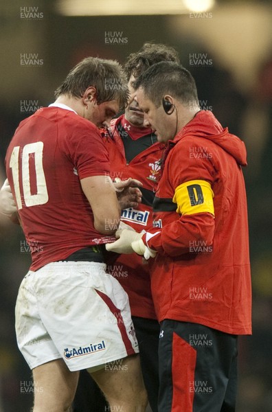 161112 - Wales v Samoa - Dove Men Series 2012 -  Wales' Dan Biggar is attended too by team doctors after injuring his wrist    