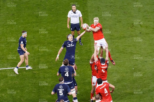 030224 - Wales v Scotland - Guinness Six Nations - Aaron Wainwright of Wales wins a lineout