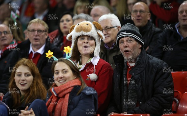 031118 - Wales v Scotland - Under Armour Series - Wales Fans