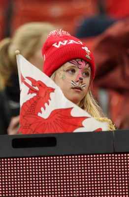 110426 - Wales v Scotland, Guinness Women’s 6 Nations - A young fan watches during warm up