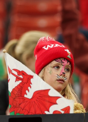 110426 - Wales v Scotland, Guinness Women’s 6 Nations - Wales fans at the match