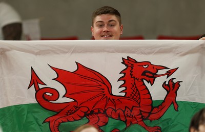 110426 - Wales v Scotland, Guinness Women’s 6 Nations - Wales fans at the match