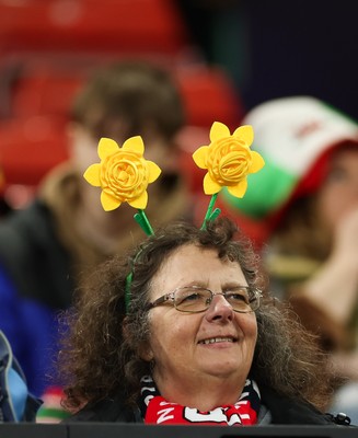 110426 - Wales v Scotland, Guinness Women’s 6 Nations - Wales fans at the match