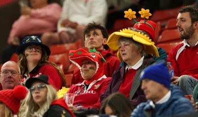 110426 - Wales v Scotland, Guinness Women’s 6 Nations - Wales fans at the match