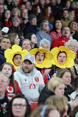 110426 - Wales v Scotland, Guinness Women’s 6 Nations - Wales fans at the match