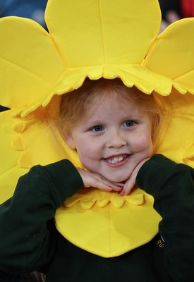 110426 - Wales v Scotland, Guinness Women’s 6 Nations - Wales fans at the match