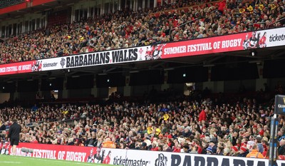 110426 - Wales v Scotland, Guinness Women’s 6 Nations - Wales fans at the match