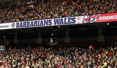 110426 - Wales v Scotland, Guinness Women’s 6 Nations - Wales fans at the match