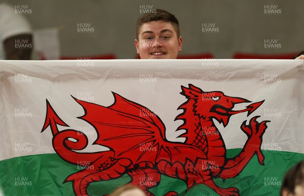 110426 - Wales v Scotland, Guinness Women’s 6 Nations - Wales fans at the match