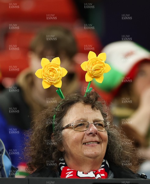 110426 - Wales v Scotland, Guinness Women’s 6 Nations - Wales fans at the match