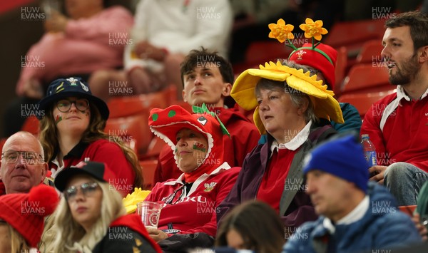 110426 - Wales v Scotland, Guinness Women’s 6 Nations - Wales fans at the match