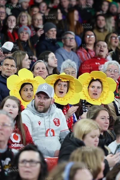 110426 - Wales v Scotland, Guinness Women’s 6 Nations - Wales fans at the match