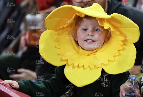110426 - Wales v Scotland, Guinness Women’s 6 Nations - Wales fans at the match