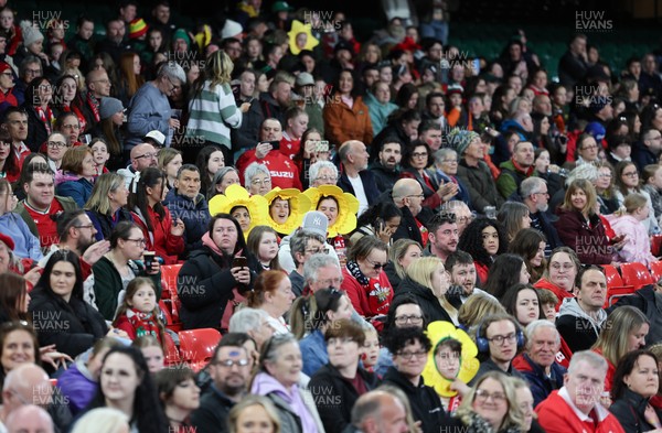 110426 - Wales v Scotland, Guinness Women’s 6 Nations - Wales fans at the match