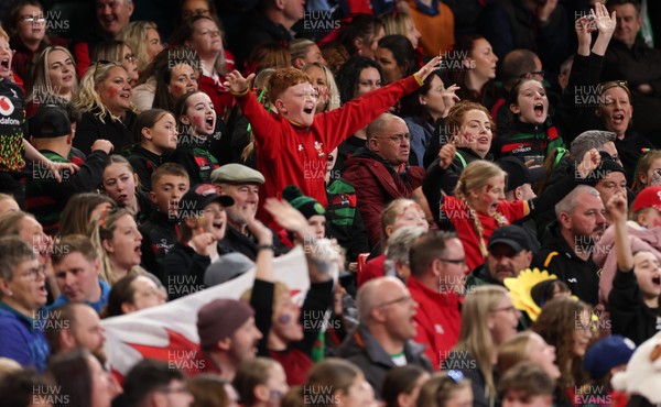 110426 - Wales v Scotland, Guinness Women’s 6 Nations - Wales fans during the match