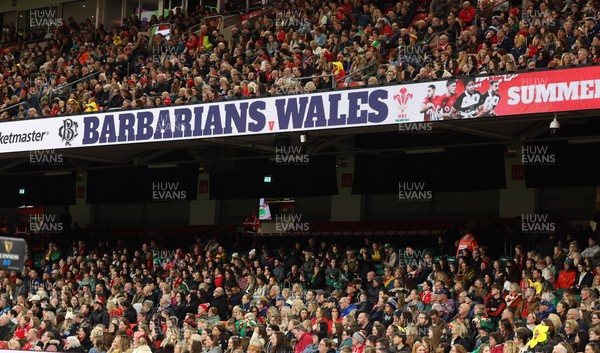 110426 - Wales v Scotland, Guinness Women’s 6 Nations - Wales fans at the match