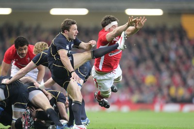 120212 - Wales v Scotland - RBS 6 Nations -Scotland's Chris Cusiter clears as Wales' Ryan Jones attempts to charge down