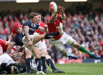 13.02.10 Wales v Scotland... Ryan Jones attempts to charge-down Scotland's Chris Cusiter's clearance. .