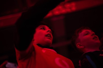 210226 - Wales v Scotland - Guinness Six Nations - Fans react inside the Stadium during the match 