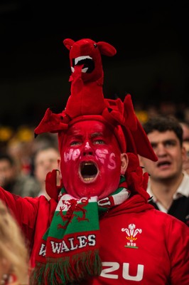 210226 - Wales v Scotland - Guinness Six Nations - Fans react inside the Stadium during the match 