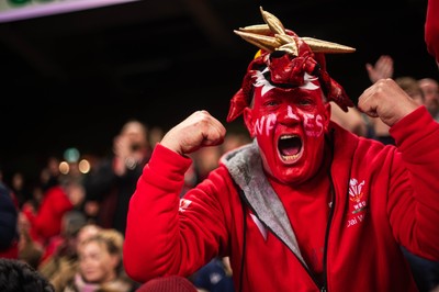 210226 - Wales v Scotland - Guinness Six Nations - Fans react inside the Stadium during the match 