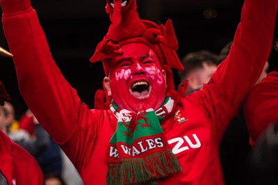 210226 - Wales v Scotland - Guinness Six Nations - Fans react inside the Stadium during the match 