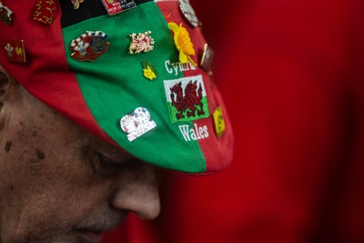 210226 - Wales v Scotland - Guinness Six Nations - Fans react inside the Stadium during the match 
