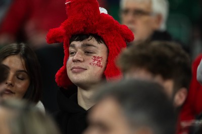 210226 - Wales v Scotland - Guinness Six Nations - Fans react inside the Stadium during the match 