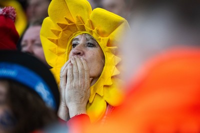 210226 - Wales v Scotland - Guinness Six Nations - Fans react inside the Stadium during the match 