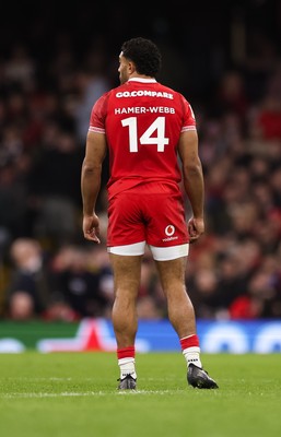 210226 - Wales v Scotland, 2026 Guinness Six Nations - Gabriel Hamer-Webb of Wales
