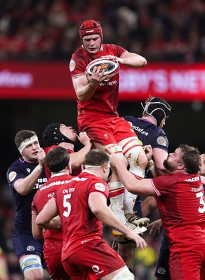 210226 - Wales v Scotland, 2026 Guinness Six Nations - James Botham of Wales takes the line out