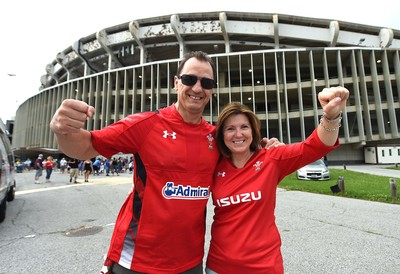 Wales v South Africa 020618