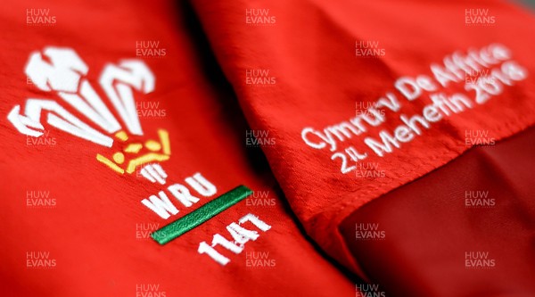 020618 - Wales v South Africa - International Rugby - Tomos Williams first cap jersey