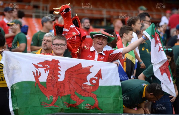 020618 - Wales v South Africa - International Rugby - Wales fans