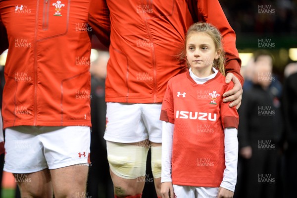 021217 - Wales v South Africa - Under Armour Series - Mascot
