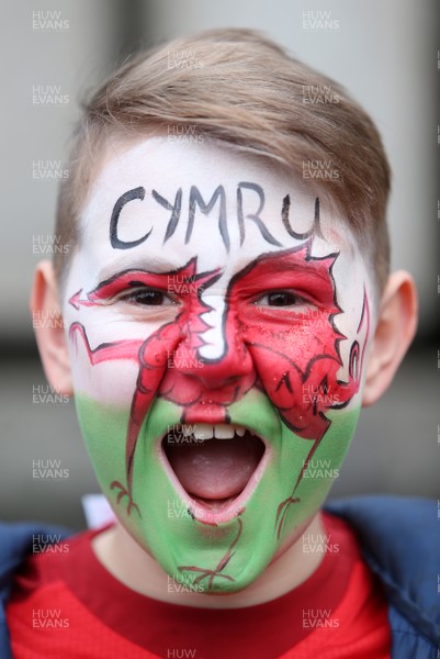 021217 - Wales v South Africa - Under Armour Series 2017 - Wales fans