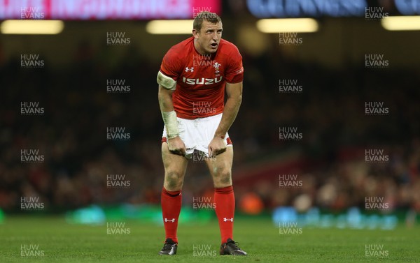021217 - Wales v South Africa - Under Armour Series 2017 - Hadleigh Parkes of Wales