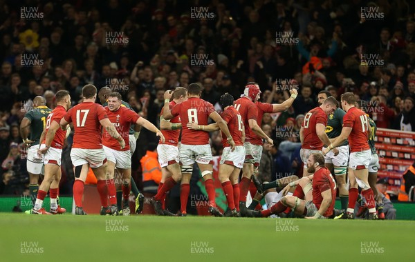 021217 - Wales v South Africa - Under Armour Series 2017 - Wales celebrate the victory at full time