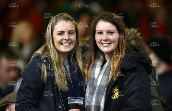 021217 - Wales v South Africa - Under Armour Series 2017 - Wales fans