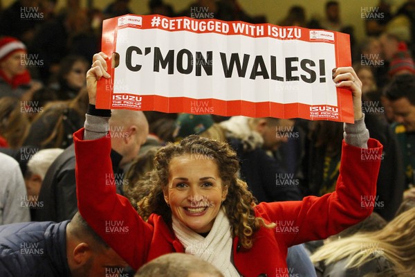 021217 Wales v New South Africa - Under Armour 2017 Series -  Fans of Wales enjoy the game