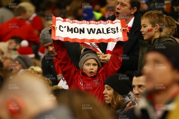 021217 Wales v New South Africa - Under Armour 2017 Series -  Fans of Wales enjoy the game