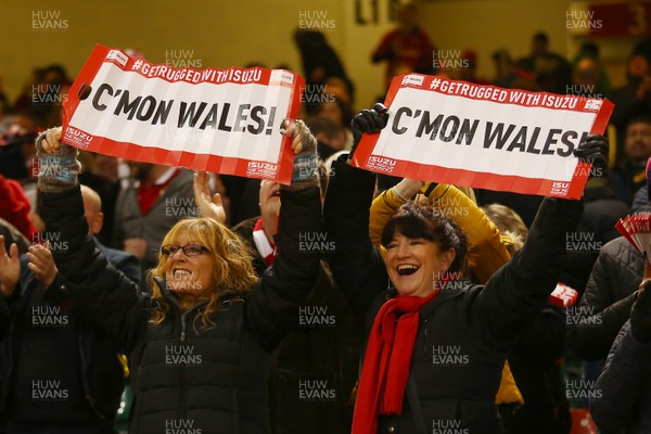 021217 Wales v New South Africa - Under Armour 2017 Series -  Fans of Wales watch the game